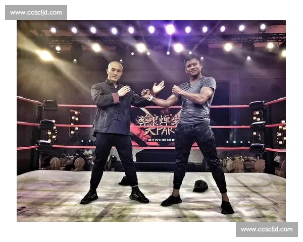 播求对决一龙三番战背后的恩怨与荣耀终章拳坛传奇再起风云巅峰