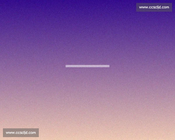 从徐晓东对决咏春看传统武术与现代格斗的真实碰撞与反思争议启示