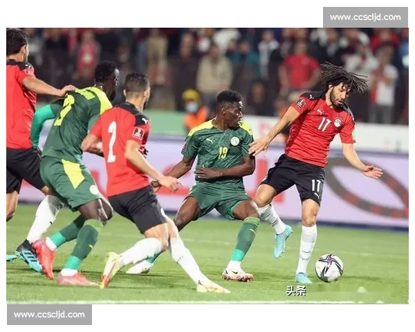 加纳对阵刚果直播前瞻焦点战术解析与赛场看点全汇总实时战况预测