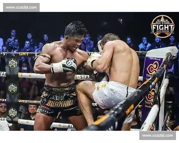 以菜良蝉vs播求巅峰对决泰拳荣耀与意志的终极碰撞历史一战谁主沉浮