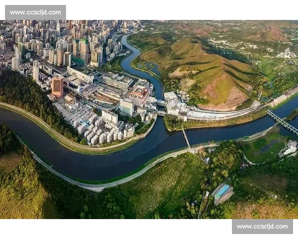 深圳与上海城市竞争力对比下的创新活力与未来发展走向全景解析视角