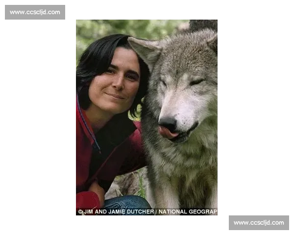 生死博弈人类与狼群在荒野中的智慧与力量对决命运边缘的终极较量