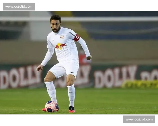 班菲尔德对阵贝格拉诺关键之战前瞻与胜负走势解析数据看点全面解读